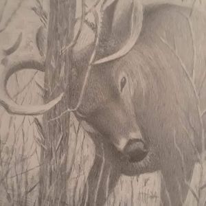 Meet your Posher, Nathan